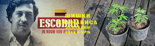 ГАЛЛЮЦИНОГЕННЫЕ ГРИБЫ Киренск