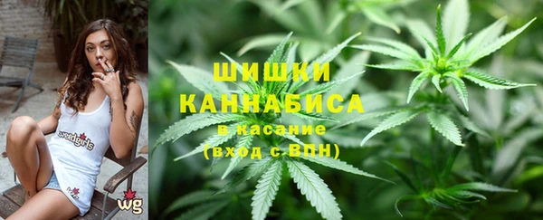 ГАЛЛЮЦИНОГЕННЫЕ ГРИБЫ Киренск