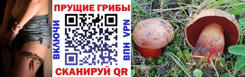 Псилоцибиновые грибы MAGIC MUSHROOMS  Красновишерск 